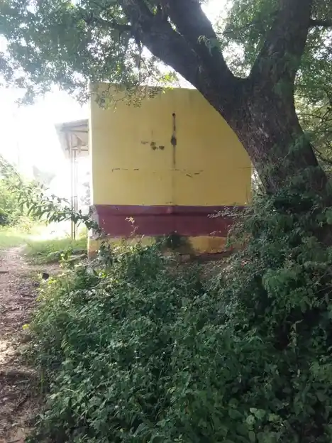 Arulmigu Mandaiveliamman Temple, Inside The Village, Elampakkam - 601103