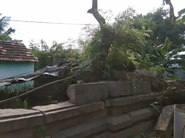 Arulmigu Mangala Lakshmi Sametha Azagu Raja Perumal Temple, Thakkolam - 631151 அருள்மிகு மங்கள லட்சுமி சமேத அழகுராஜப் பெருமாள் திருக்கோயில், தக்கோலம் - 631151, Ranipet - Ancient Temple Architecture and History Image 5