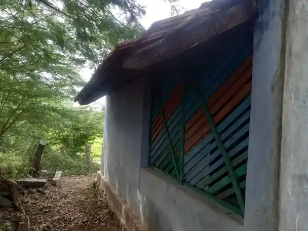 Arulmigu Mangala Vinayagar Temple, Ponpetthi - 614629 அருள்மிகு மங்கள விநாயகர் திருக்கோயில், Ponpetthi - 614629, Pudukkottai - Ancient Temple Architecture and History Image 3