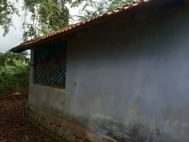 Arulmigu Mangala Vinayagar Temple, Ponpetthi - 614629 அருள்மிகு மங்கள விநாயகர் திருக்கோயில், Ponpetthi - 614629, Pudukkottai - Ancient Temple Architecture and History Image 4