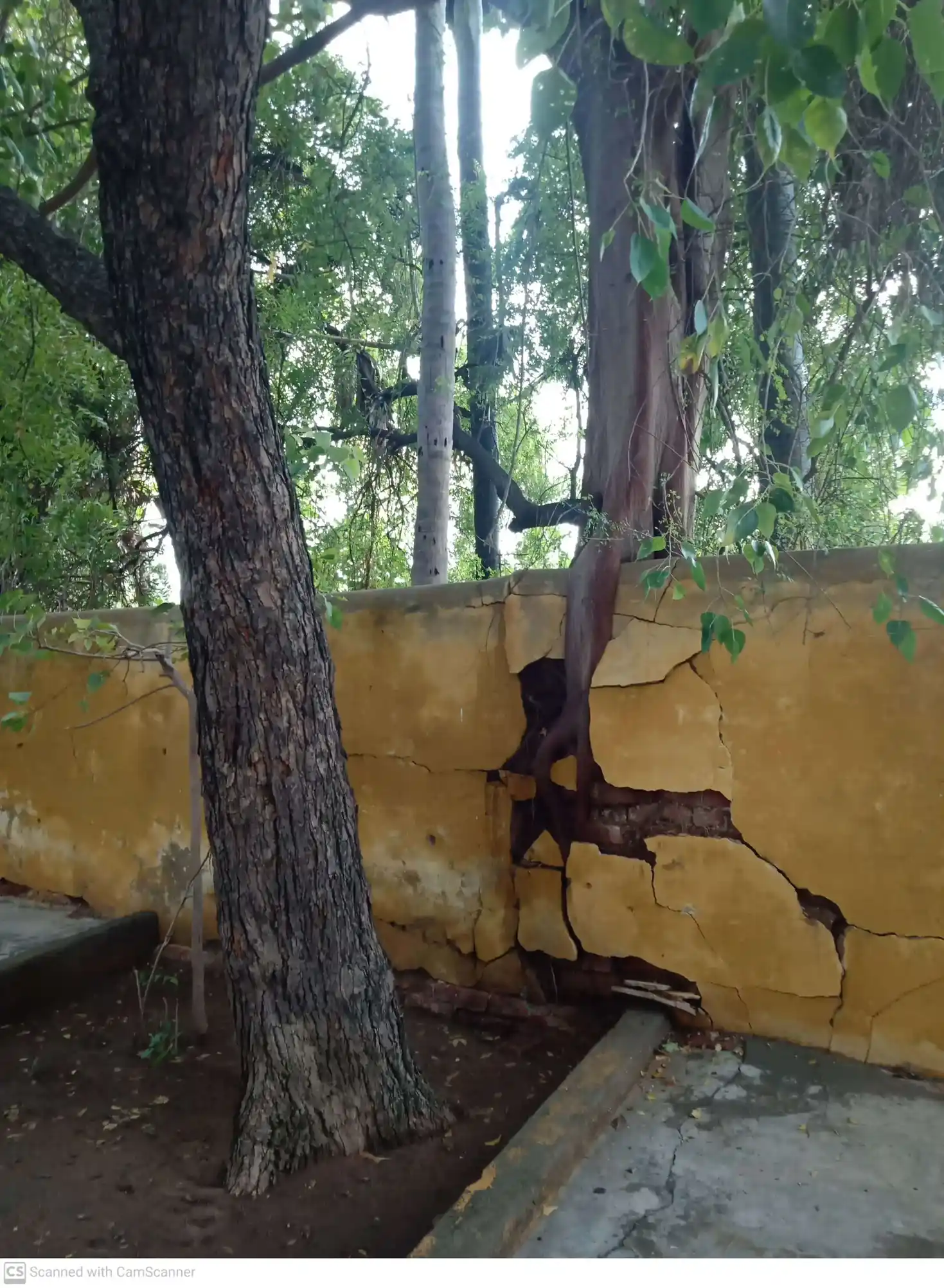 Arulmigu Manicka Vinayagar Temple, Korkai - 628802 அருள்மிகு மாணிக்க விநாயகர் திருக்கோயில், Korkai - 628802, Thoothukudi - Ancient Temple Architecture and History Image 3