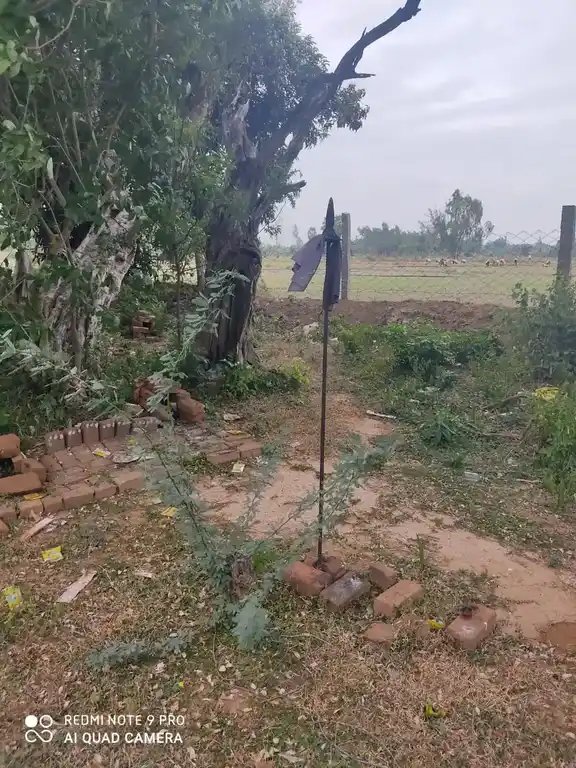 Arulmigu Manickanachiyar Temple, Thirukalapur - 621805 அருள்மிகு மாணிக்கநாச்சியார் திருக்கோயில், Thirukalapur - 621805, Ariyalur - Ancient Temple Architecture and History Image 7