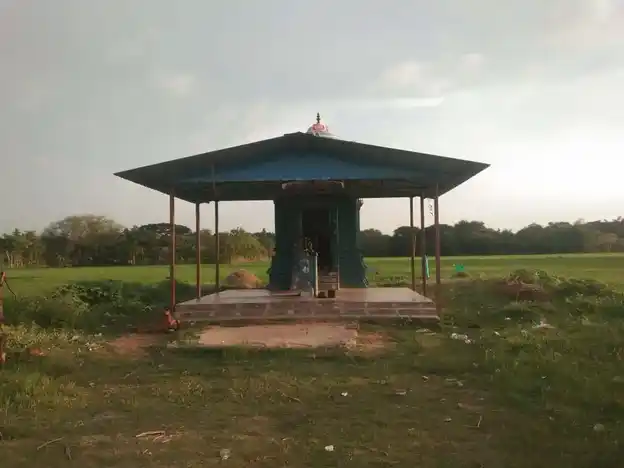 Arulmigu Manickanachiyar Temple, Thukili - 612106 அருள்மிகு மாணிக்க நாச்சியார் திருக்கோயில், Thukili - 612106, Thanjavur - Ancient Temple Architecture and History Image 3