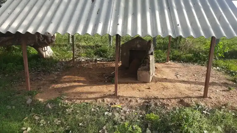 Arulmigu Manickanachiyar Temple, Veeracholapuram - 621901 அருள்மிகு மாணிக்கநாச்சியார் திருக்கோயில், வீரசோழபுரம் - 621901, Ariyalur - Ancient Temple Architecture and History Image 2