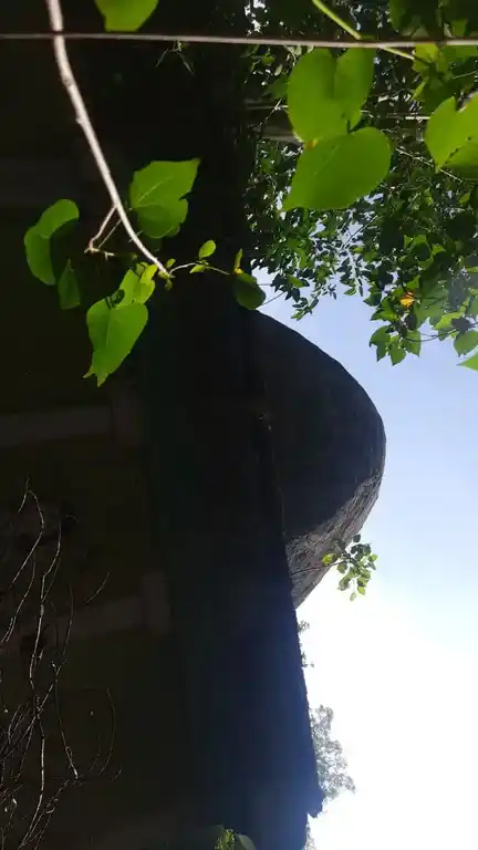 Arulmigu Manickanachiyar Temple, Veeracholapuram - 621901 அருள்மிகு மாணிக்கநாச்சியார் திருக்கோயில், வீரசோழபுரம் - 621901, Ariyalur - Ancient Temple Architecture and History Image 4