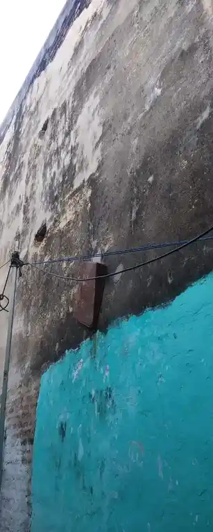 Arulmigu Manickavasagar Madalayam, Guruwarajapet - 631101 அருள்மிகு மாணிக்கவாசகர் மடாலயம், குருவராஜப்பேட்டை - 631101, Ranipet - Ancient Temple Architecture and History Image 4