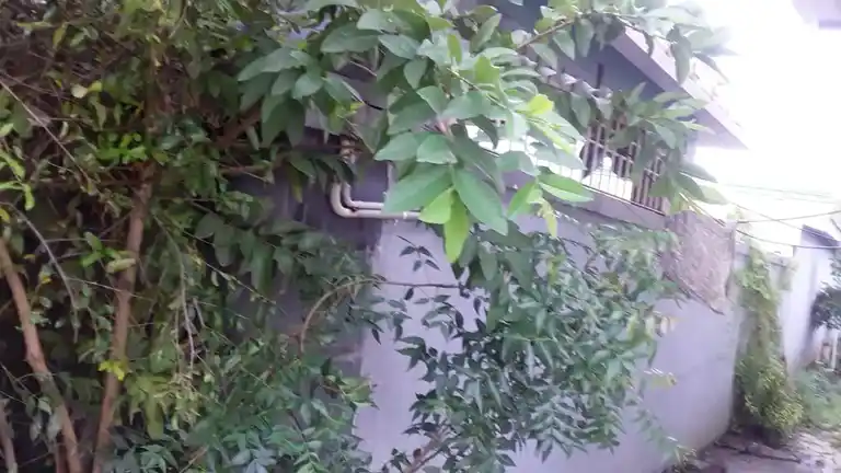 Arulmigu Manickavinayagar Temple, Vadamathoor - 606702 அருள்மிகு மாணிக்கவிநாயகர் திருக்கோயில், Vadamathoor - 606702, Tiruvannamalai - Ancient Temple Architecture and History Image 9