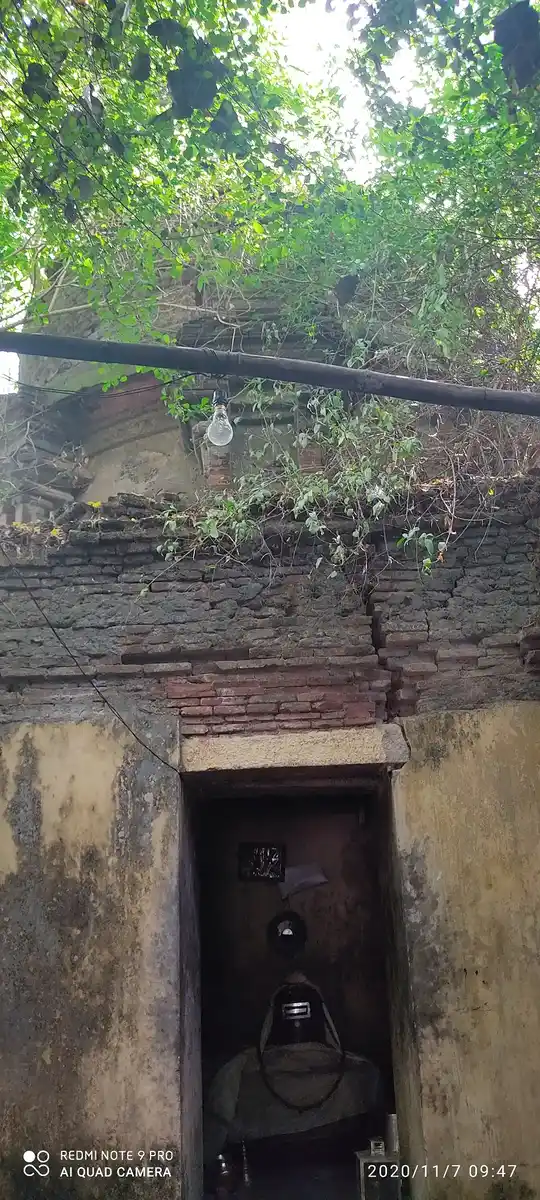 Arulmigu Manickeswarar And Varathrajaperumal Temple, Sivapurani - 609804 அருள்மிகு மாணிக்கேஸ்வரர் சுவாமி மற்றும் வரதராஜபெருமாள் திருக்கோயில், சிவபுராணி - 609804, Thanjavur - Ancient Temple Architecture and History Image 6