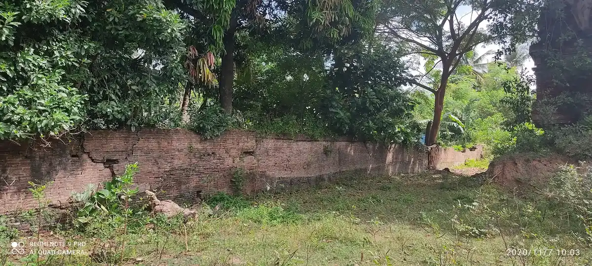 Arulmigu Manickeswarar And Varathrajaperumal Temple, Sivapurani - 609804 அருள்மிகு மாணிக்கேஸ்வரர் சுவாமி மற்றும் வரதராஜபெருமாள் திருக்கோயில், சிவபுராணி - 609804, Thanjavur - Ancient Temple Architecture and History Image 8