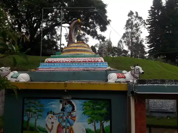 Arulmigu Manihada Mahasakthi Heithaiyamman And Arulmigu Sathiya Nagarajar Temple, Manjakombai Bazar, Kundha - 643203 அருள்மிகு மானிஹாடா மகாசக்தி ஹெத்தையம்மன் சத்ய நாகராஜர் திருக்கோயில், மஞ்சக்கொம்பை பஜார், குந்தா - 643203, Nilgiris - Ancient Temple Architecture and History Image 4