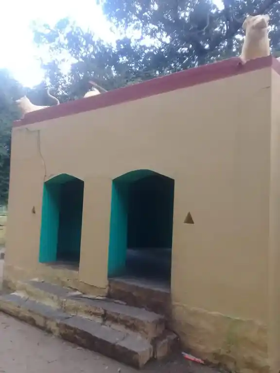 Arulmigu Manikanaachiyar Temple, Periyakolliyur - 605801 அருள்மிகு மாணிக்கநாச்சியார் திருக்கோயில், Periyakolliyur - 605801, Kallakurichi - Ancient Temple Architecture and History Image 4