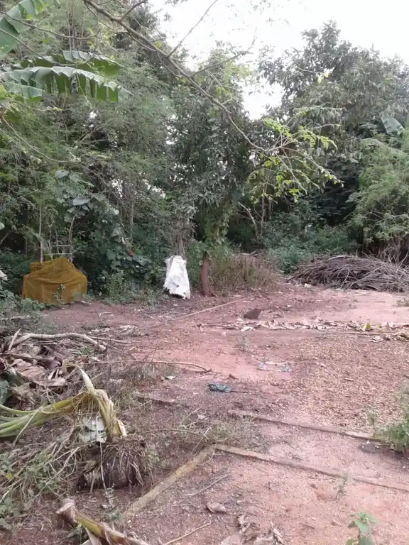 Arulmigu Manikandaswamy Madam, Vizhapallampanruti, Panruti - 607302 அருள்மிகு மணிகண்டசாமி மடம், பெரியக்கண்ணாடி, பெரியக்கண்ணாடி - 607302, Cuddalore - Ancient Temple Architecture and History Image 2