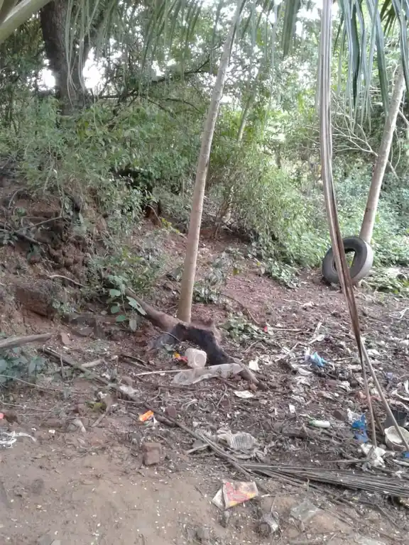 Arulmigu Manikandaswamy Madam, Vizhapallampanruti, Panruti - 607302 அருள்மிகு மணிகண்டசாமி மடம், பெரியக்கண்ணாடி, பெரியக்கண்ணாடி - 607302, Cuddalore - Ancient Temple Architecture and History Image 3