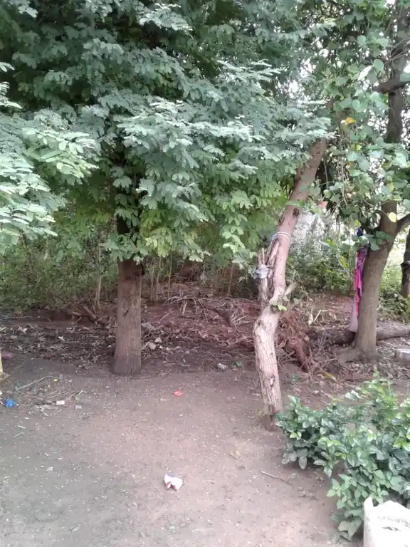 Arulmigu Manikandaswamy Madam, Vizhapallampanruti, Panruti - 607302 அருள்மிகு மணிகண்டசாமி மடம், பெரியக்கண்ணாடி, பெரியக்கண்ணாடி - 607302, Cuddalore - Ancient Temple Architecture and History Image 5