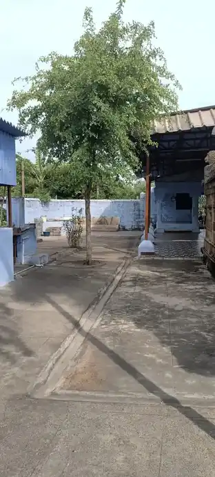 Arulmigu Manimuthalamman Temple, Neyveli - 607801 அருள்மிகு மணிமுத்தாலம்மன் திருக்கோயில், நெய்வேலி - 607801, Cuddalore - Ancient Temple Architecture and History Image 4