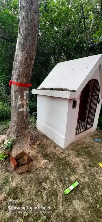 Arulmigu Manjamuthu Vinayagar Temple, Vilathoti - 609204 அருள்மிகு மஞ்சமுத்து விநாயகர் திருக்கோயில், Vilathoti - 609204, Thanjavur - Ancient Temple Architecture and History Image 3