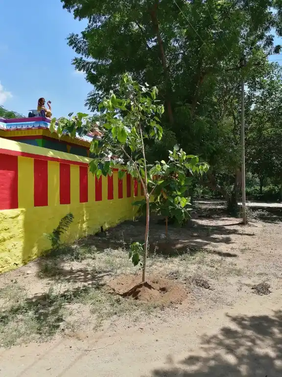 Arulmigu Manjiamman Dharmaraja Temple, Kilvallam - 632311 அருள்மிகு மஞ்சியம்மன் தர்மராஜா திருக்கோயில், கீழ்வல்லம் - 632311, Vellore - Ancient Temple Architecture and History Image 3