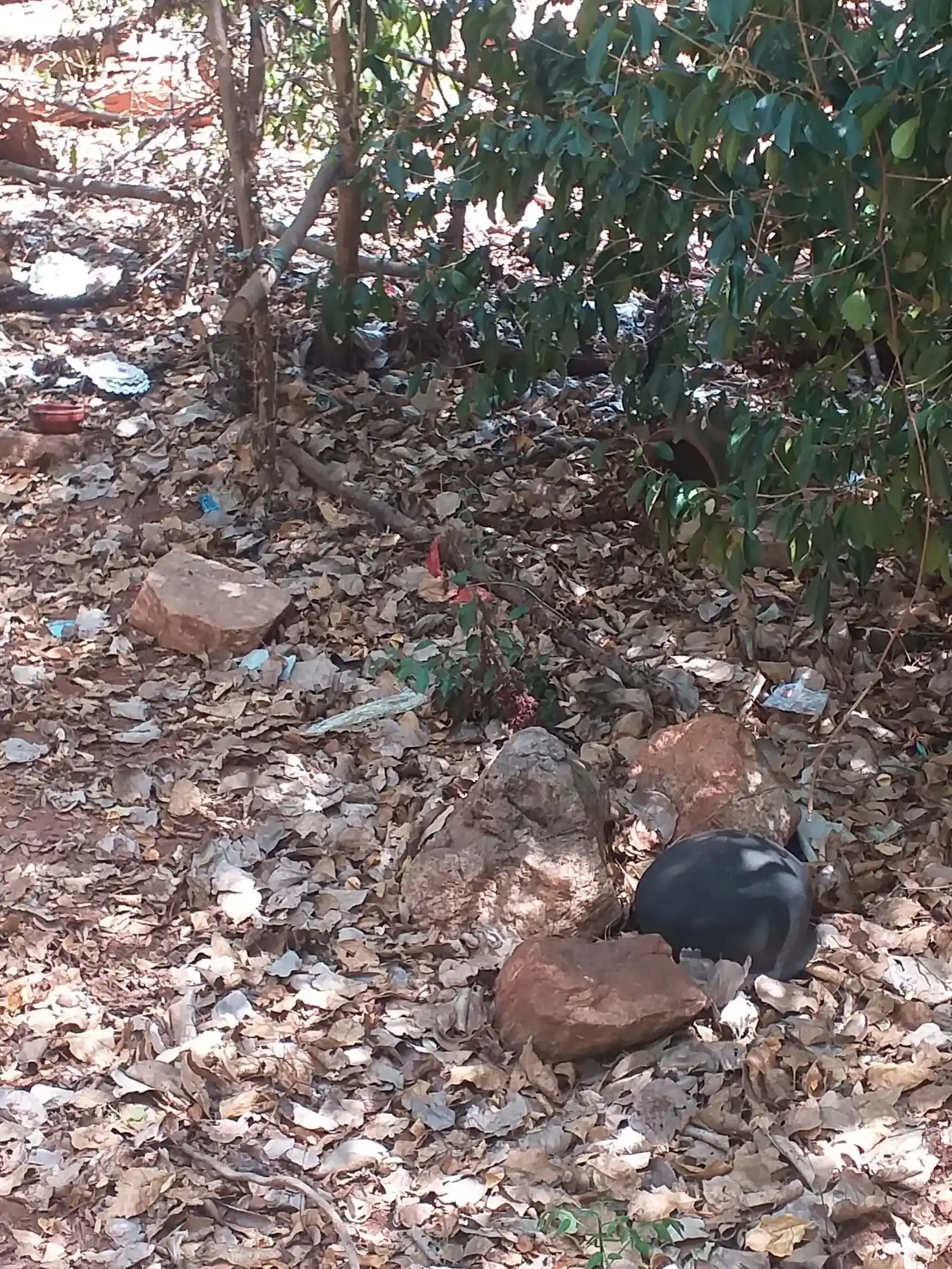 Arulmigu Mankudi Pethansamy Temple, Piranpatti - 630410 அருள்மிகு. மாங்குடி பெத்தன்னாசாமி திருக்கோயில், Piranpatti - 630410, Sivagangai - Ancient Temple Architecture and History Image 2