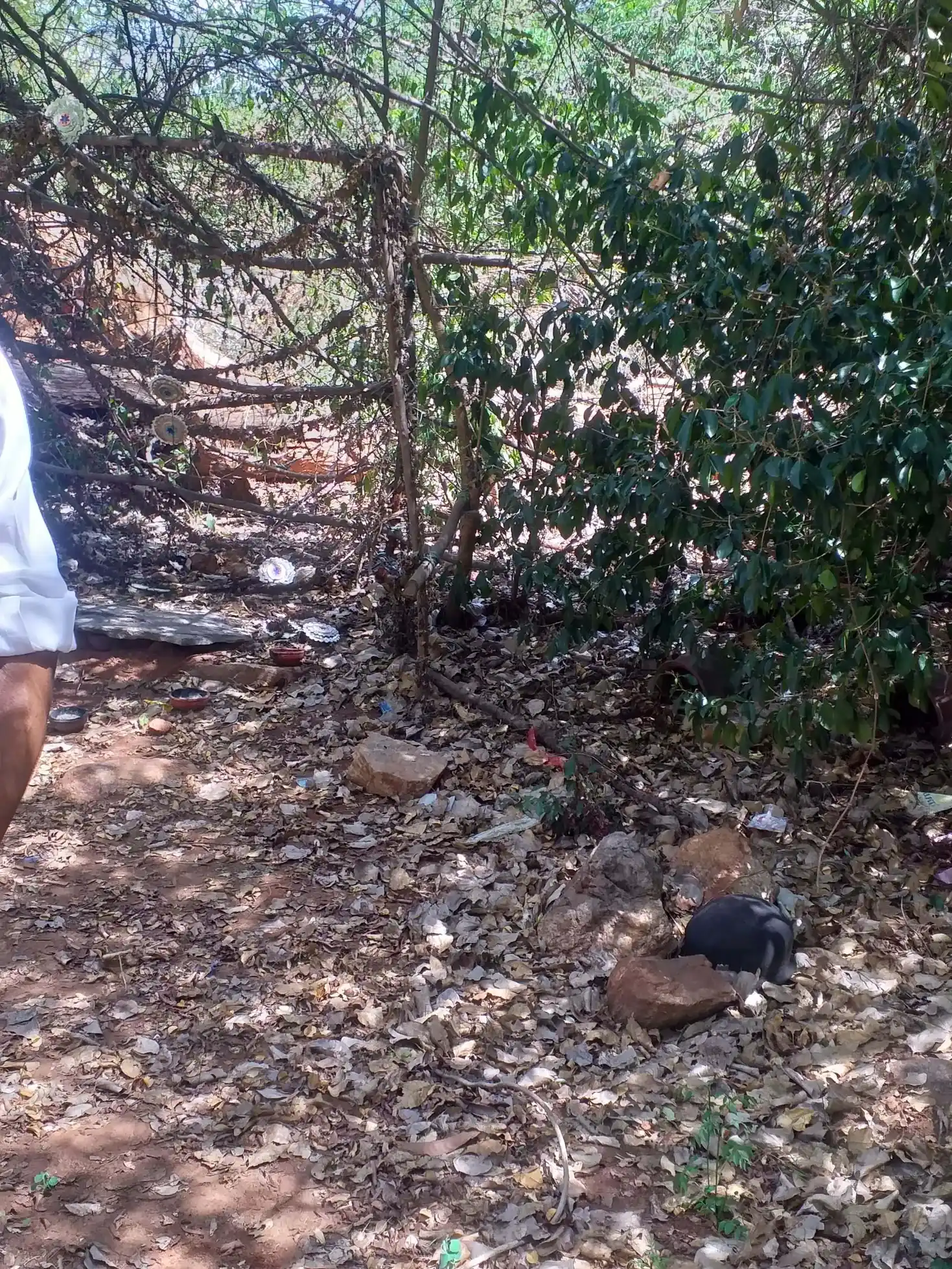 Arulmigu Mankudi Pethansamy Temple, Piranpatti - 630410 அருள்மிகு. மாங்குடி பெத்தன்னாசாமி திருக்கோயில், Piranpatti - 630410, Sivagangai - Ancient Temple Architecture and History Image 4