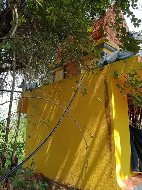 Arulmigu Mannar Krishnaswamy Temple, Ramiyanahalli, Ramiyanahalli - 636905 Temple