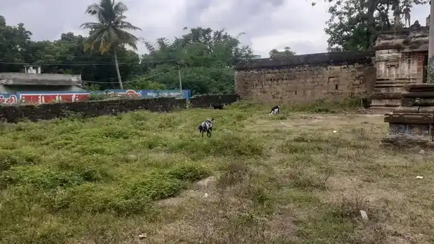 Arulmigu Mannar Swamy Temple, Kolakkanatham - 621106 அருள்மிகு மன்னாhர் சுவாமி திருக்கோயில், Kolakkanatham, Kolakkanatham - 621106, Perambalur - Ancient Temple Architecture and History Image 2