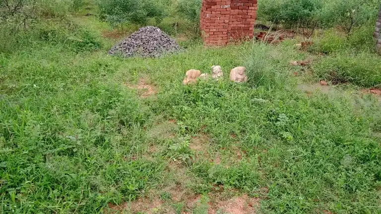 Arulmigu Mannarsami Temple, Melakaruppur - 621707 Arulmigu Mannarsami Temple,  - 621707, Ariyalur - Ancient Temple Architecture and History Image 4