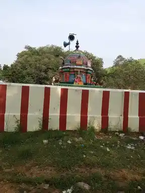 Arulmigu Mannarsamy, Pachaivazhiyamman Temple, Forestveera Sammanur, Veera Sammanur - 606801 அருள்மிகு மன்னார்சாமி , பச்சைவாழியம்மன், திருக்கோயில், Forestveera Sammanur, வீர சம்மனுர் - 606801, Tiruvannamalai - Ancient Temple Architecture and History Image 3
