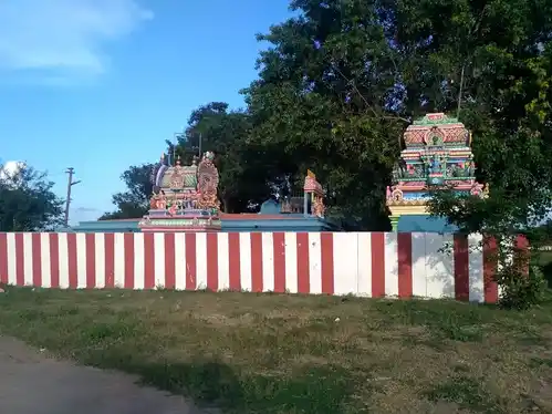 Arulmigu Mannarswamy Pachaiamman Temple, Thotanaval - 603303