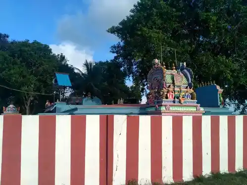 Arulmigu Mannarswamy Pachaiamman Temple, Thotanaval - 603303 அருள்மிகு மன்னார்சாமி பச்சையம்மன் திருக்கோயில், Thotanaval - 603303, Chengalpattu - Ancient Temple Architecture and History Image 2