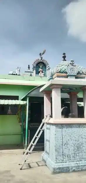 Arulmigu Mannarswamy Pachaiyamman Temple, Nattarmangalam - 621126 அருள்மிகு மன்னார்சுவாமி பச்சையம்மன் திருக்கோயில், Nattarmangalam - 621126, Perambalur - Ancient Temple Architecture and History Image 3
