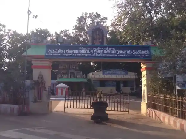 Arulmigu Mannarswamy Samedha Pachiyamman Temple, Munugapattu - 604504 அருள்மிகு மன்னார்சாமி சமேத பச்சையம்மன் திருக்கோயில், முணுகப்பட்டு - 604504, Tiruvannamalai - Ancient Temple Architecture and History Image 3