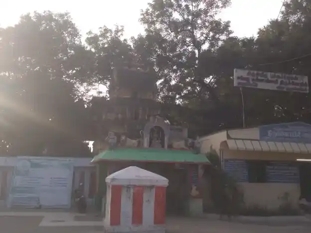 Arulmigu Mannarswamy Samedha Pachiyamman Temple, Munugapattu - 604504 அருள்மிகு மன்னார்சாமி சமேத பச்சையம்மன் திருக்கோயில், முணுகப்பட்டு - 604504, Tiruvannamalai - Ancient Temple Architecture and History Image 4