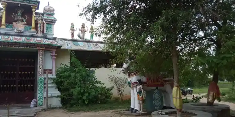 Arulmigu Mannarswamy Temple, Avvaiyaarkuppam - 604306 அருள்மிகு மன்னார்சுவாமி பச்சைவாழியம்மன் திருக்கோயில், Avvaiyaarkuppam - 604306, Viluppuram - Ancient Temple Architecture and History Image 4