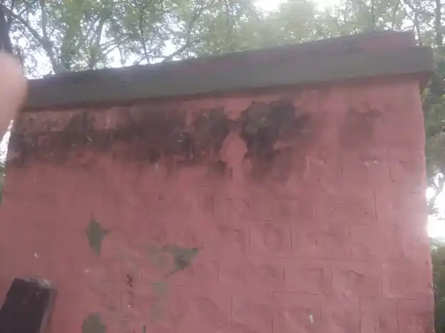 Arulmigu Mannarswamy Temple, Pugaipatti - 607202 அருள்மிகு மன்னார்சாமி, அய்யனார் திருக்கோயில், Pugaipatti - 607202, Kallakurichi - Ancient Temple Architecture and History Image 4