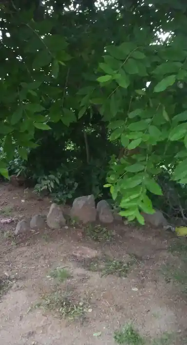 Arulmigu Mannarswamy Temple, Raavuththanallur - 606402 அருள்மிகு மன்னார்சாமி திருக்கோயில், Raavuththanallur - 606402, Kallakurichi - Ancient Temple Architecture and History Image 2