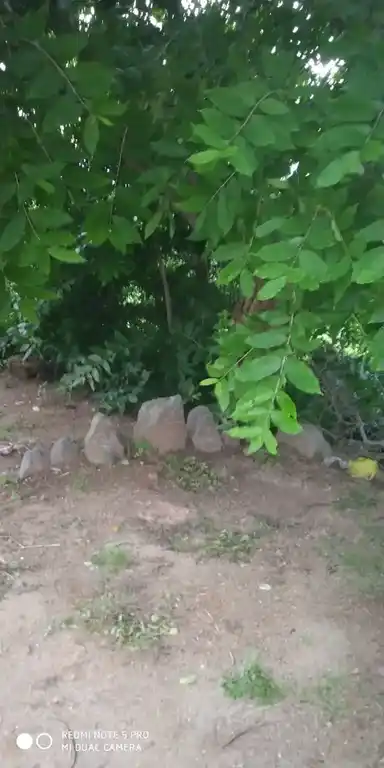 Arulmigu Mannarswamy Temple, Raavuththanallur - 606402 அருள்மிகு மன்னார்சாமி திருக்கோயில், Raavuththanallur - 606402, Kallakurichi - Ancient Temple Architecture and History Image 4