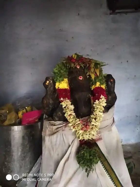 Arulmigu Mannarswamy Temple, Theevettipatty - 636351 அருள்மிகு மன்னார்சாமி திருக்கோயில், Theevettipatty - 636351, Salem - Ancient Temple Architecture and History Image 4