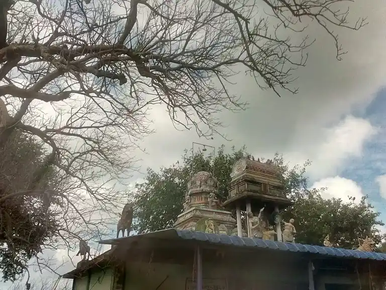 Arulmigu Mannathasami Temple, Sundakkudi - 621701 Arulmigu Mannathasami Temple,  - 621701, Ariyalur - Ancient Temple Architecture and History Image 3