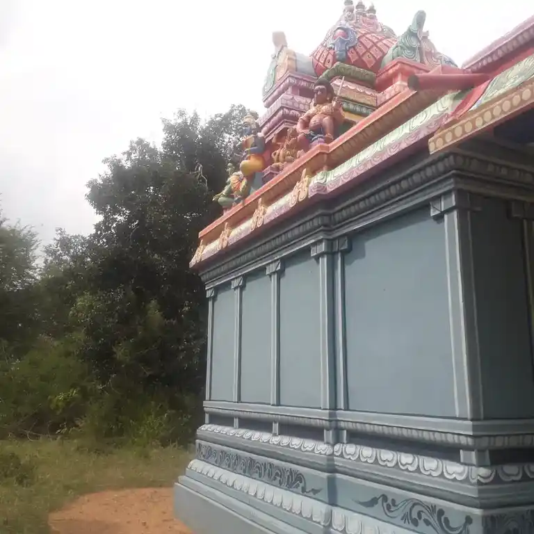 Arulmigu Manthai Maariyamman Temple, Panampatti - 622402 அருள்மிகு மந்தைமாரியம்மன் திருக்கோயில், பனம்பட்டி - 622402, Pudukkottai - Ancient Temple Architecture and History Image 4
