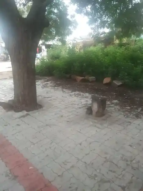 Arulmigu Manthaiamman Temple, Sinthupatti - 625529