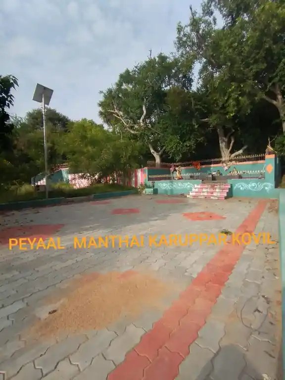 Arulmigu Manthaikkaruppar Temple, Peyaal - 622102 அருள்மிகு மந்தைக்கருப்பர் திருக்கோயில், Peyaal - 622102, Pudukkottai - Ancient Temple Architecture and History Image 5