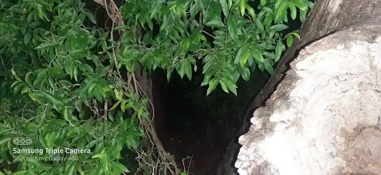 Arulmigu Manthaikulam Kannimar Temple, Madur - 624306