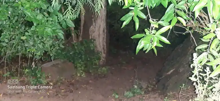 Arulmigu Manthaikulam Kannimar Temple, Madur - 624306 Arulmigu Manthaikulam Kannimar Temple, Madur - 624306, Dindigul - Ancient Temple Architecture and History Image 2