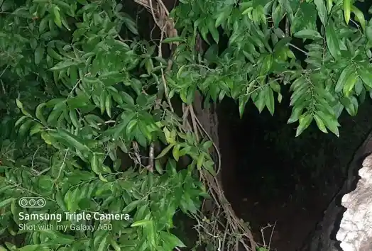 Arulmigu Manthaikulam Kannimar Temple, Madur - 624306 Arulmigu Manthaikulam Kannimar Temple, Madur - 624306, Dindigul - Ancient Temple Architecture and History Image 3