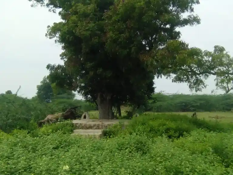 Arulmigu Manthaimuniyandavar Temple, Uriyampatti - 622203