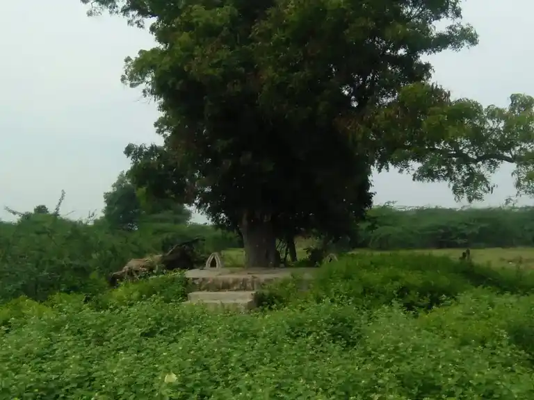 Arulmigu Manthaimuniyandavar Temple, Uriyampatti - 622203 அருள்மிகு மந்தைமுனியாண்டவர் திருக்கோயில், உரியம்பட்டி - 622203, Pudukkottai - Ancient Temple Architecture and History Image 5