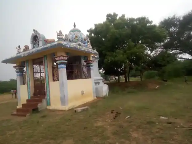 Arulmigu Manthaiyamman, Pillaiyar, Pidaari Temple, Nallammal Samutthiram - 622101 அருள்மிகு மந்தையம்மன்,பிள்ளையார்,பிடாரி திருக்கோயில், Nallammal Samutthiram - 622101, Pudukkottai - Ancient Temple Architecture and History Image 3