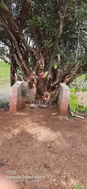 Arulmigu Marathadi Kannimar Temple, Kalikampatti - 624303