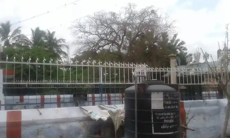 Arulmigu Marathadi Perumal Temple, Thiruchirappalli - 620016 Arulmigu Marathadi Perumal Temple, Thiruchirappalli - 620016, Thiruchirappalli - Ancient Temple Architecture and History Image 4