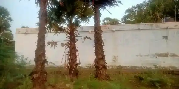 Arulmigu Maravar Sudalaimadasamy Temple, Village Out Side, Maruthur - 627351 அருள்மிகு மறவர் சுடலைமாடசுவாமி திருக்கோயில், Village Out Side, மருதூர் - 627351, Tirunelveli - Ancient Temple Architecture and History Image 5